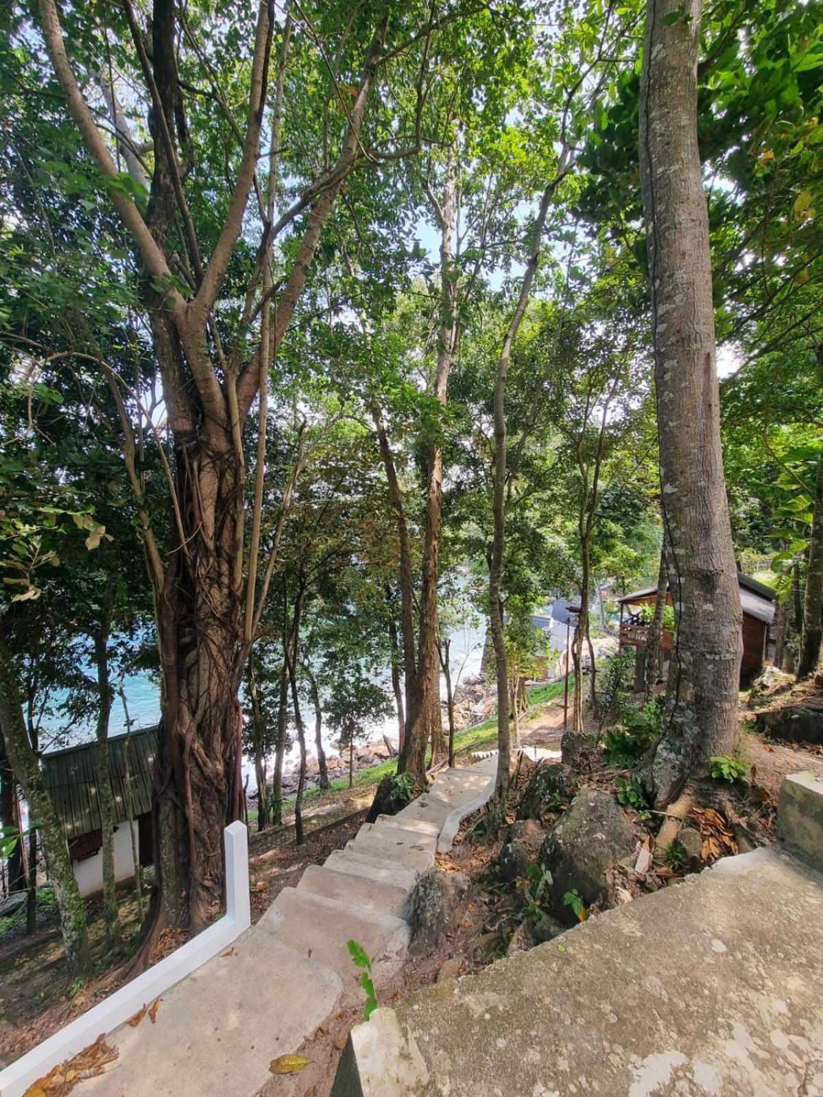 Treetop Guesthouse And Bungalows Sabong Exterior foto