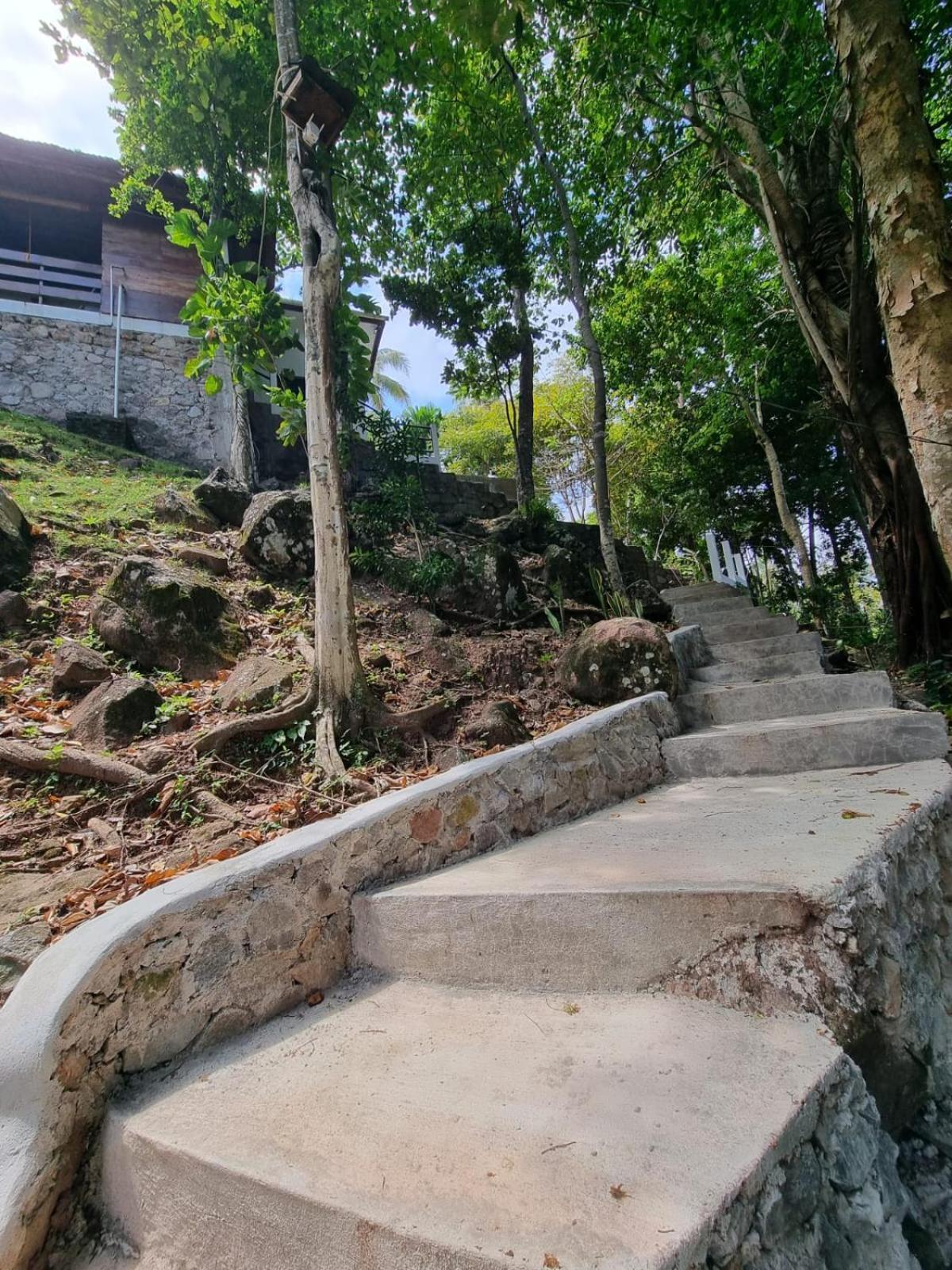 Treetop Guesthouse And Bungalows Sabong Exterior foto
