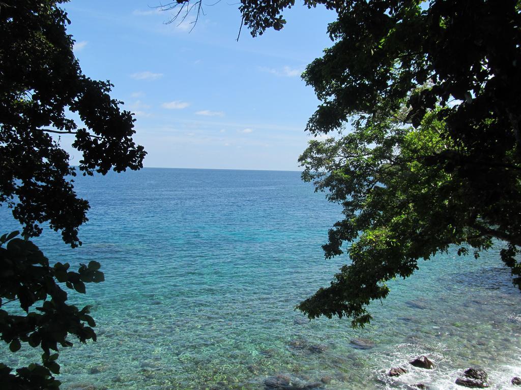 Treetop Guesthouse And Bungalows Sabong Exterior foto